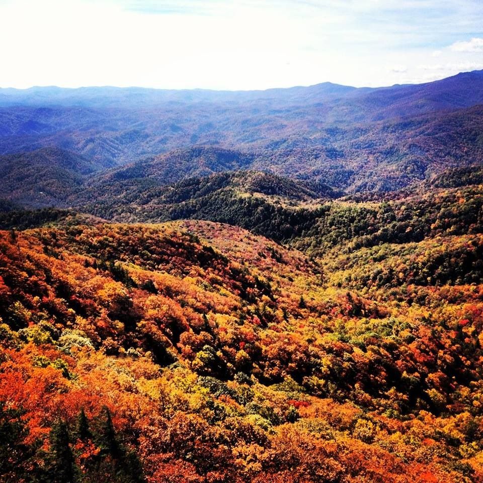View from Blowing Rock in the Appalachian Mountains. [960x960] r